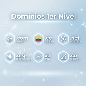 Dominio 1er Nivel